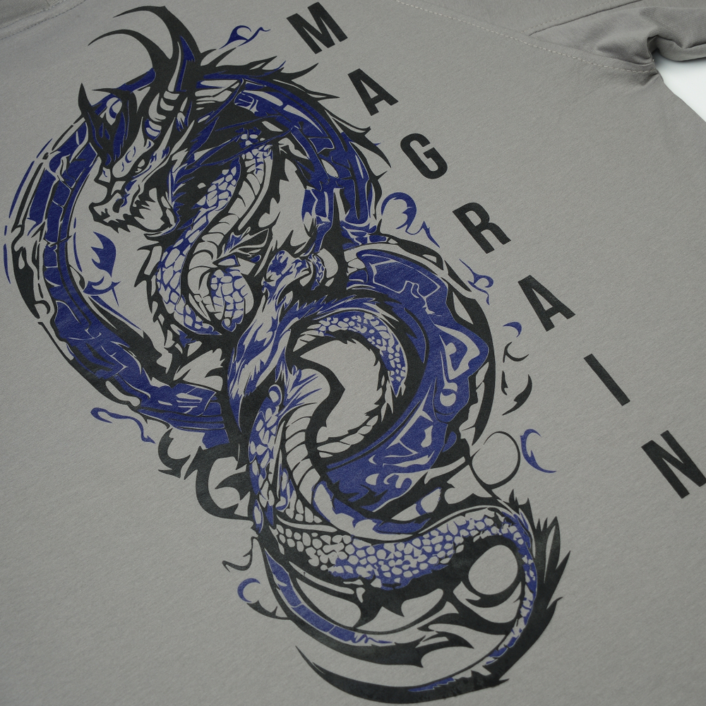 Футболка Реглан DRAGON