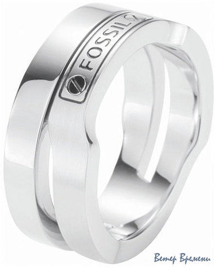 Бижутерия Fossil JF86039040 (190)