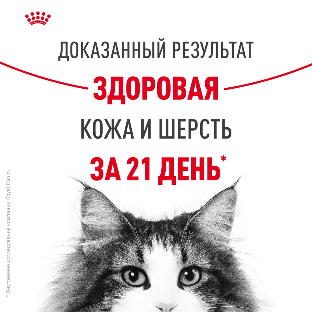 Royal Canin Hair&Skin Care Хэйр Энд Скин Кэа Корм сухой для взрослых кошек поддержание здоровья кожи и шерсти 400г