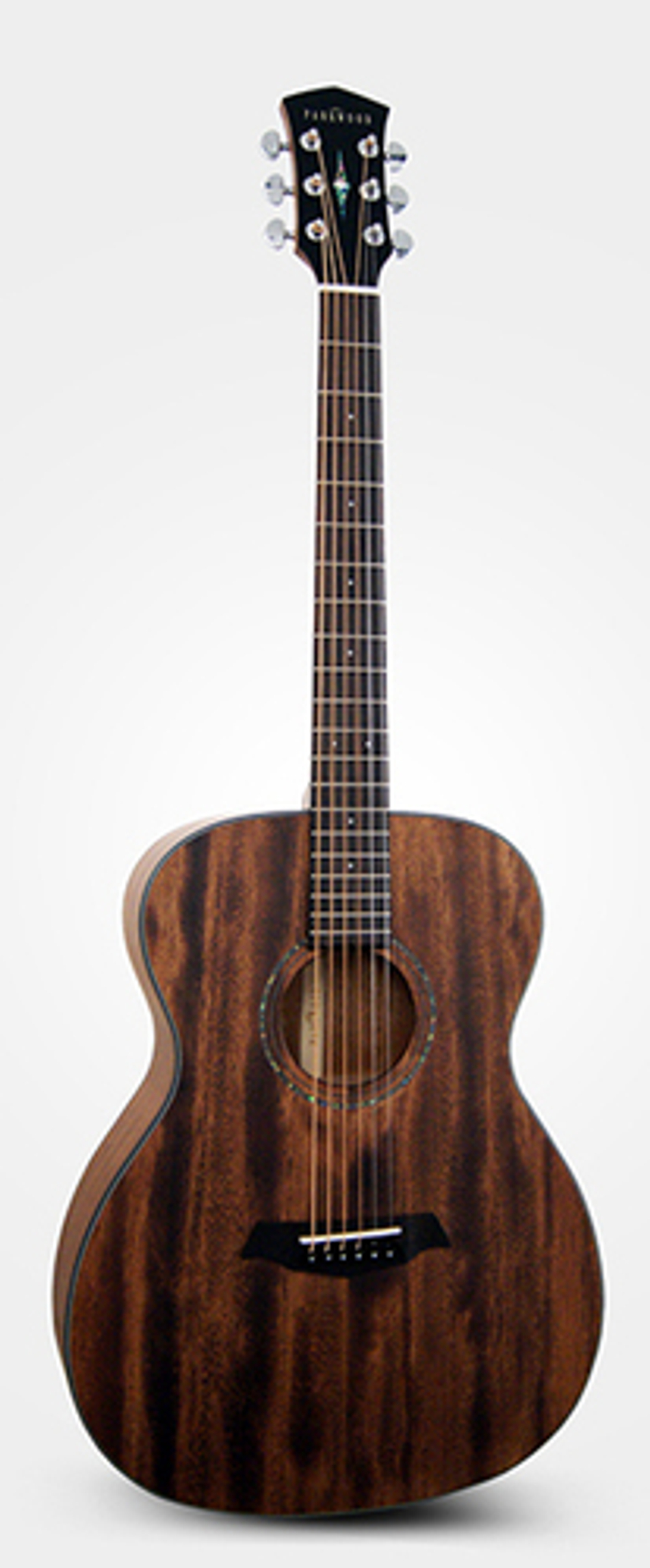 Гитара иной формы Parkwood S22M-NS