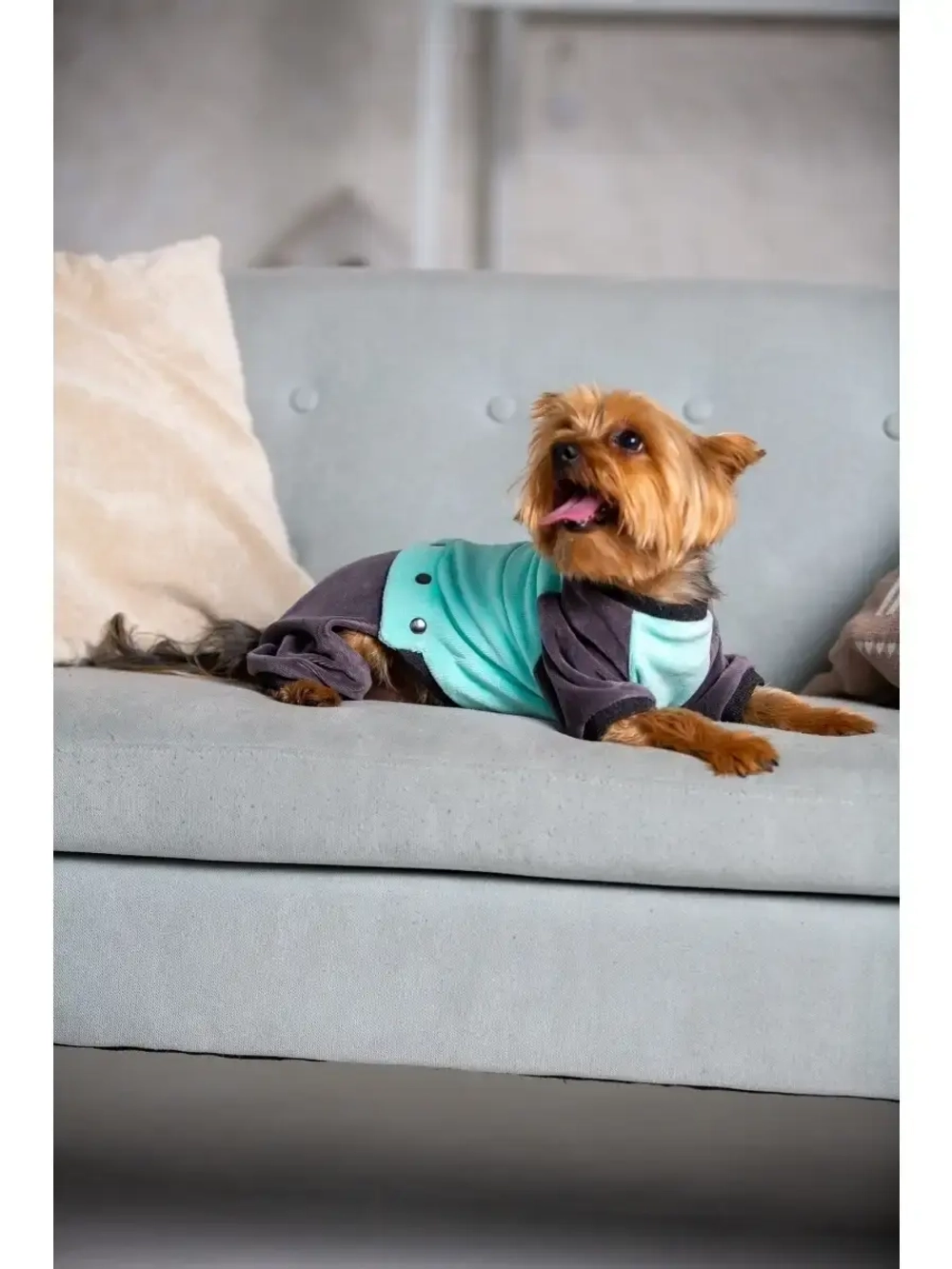 Комбинезон костюм для собак и кошек