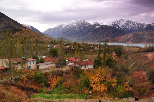 Природа №12 Фотообои и Фрески ручной работы