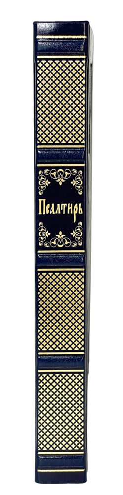 IMG_7841-PhotoRoom.png-PhotoRoom