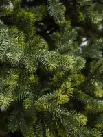 Искусственная ель «Леано» (Литая хвоя) 210 см / 2.1 м