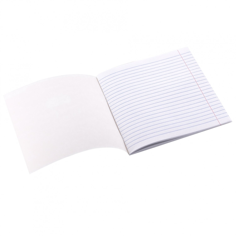 Тетрадь предметная 24л. А5 "Литература" со справочным материалом, скрепка, мелованный картон (стандарт), блок офсет, Alingar "Чёрный котик"