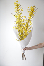 Монобукет Форзиция