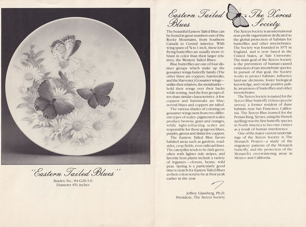 Винтажная коллекционная декоративная тарелка с изображением бабочек восточная синехвостка