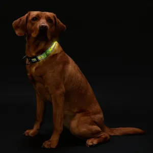 Ошейник для собак, Hunter LED Manoa Glow S (45-50)/2,5, желтый