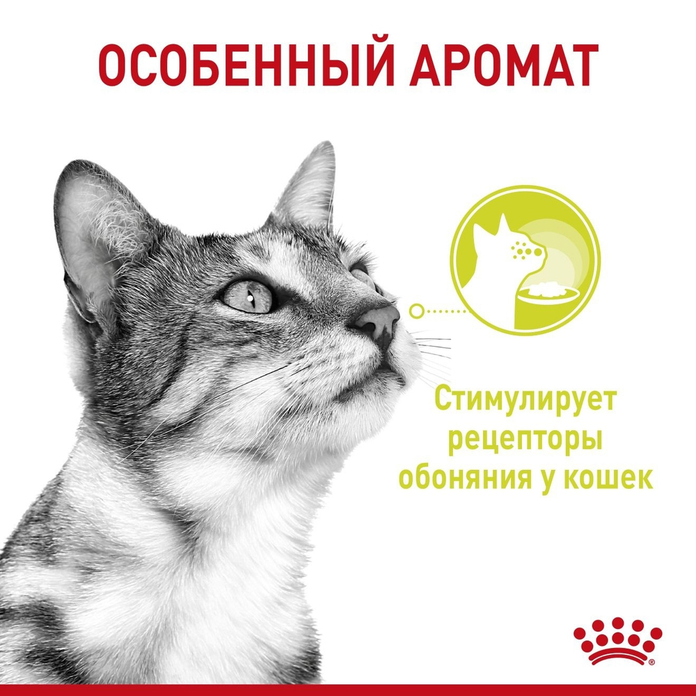 Влажный корм для кошек стимулирующий обонятельные рецепторы Royal Canin Sensory Запах, 85 г