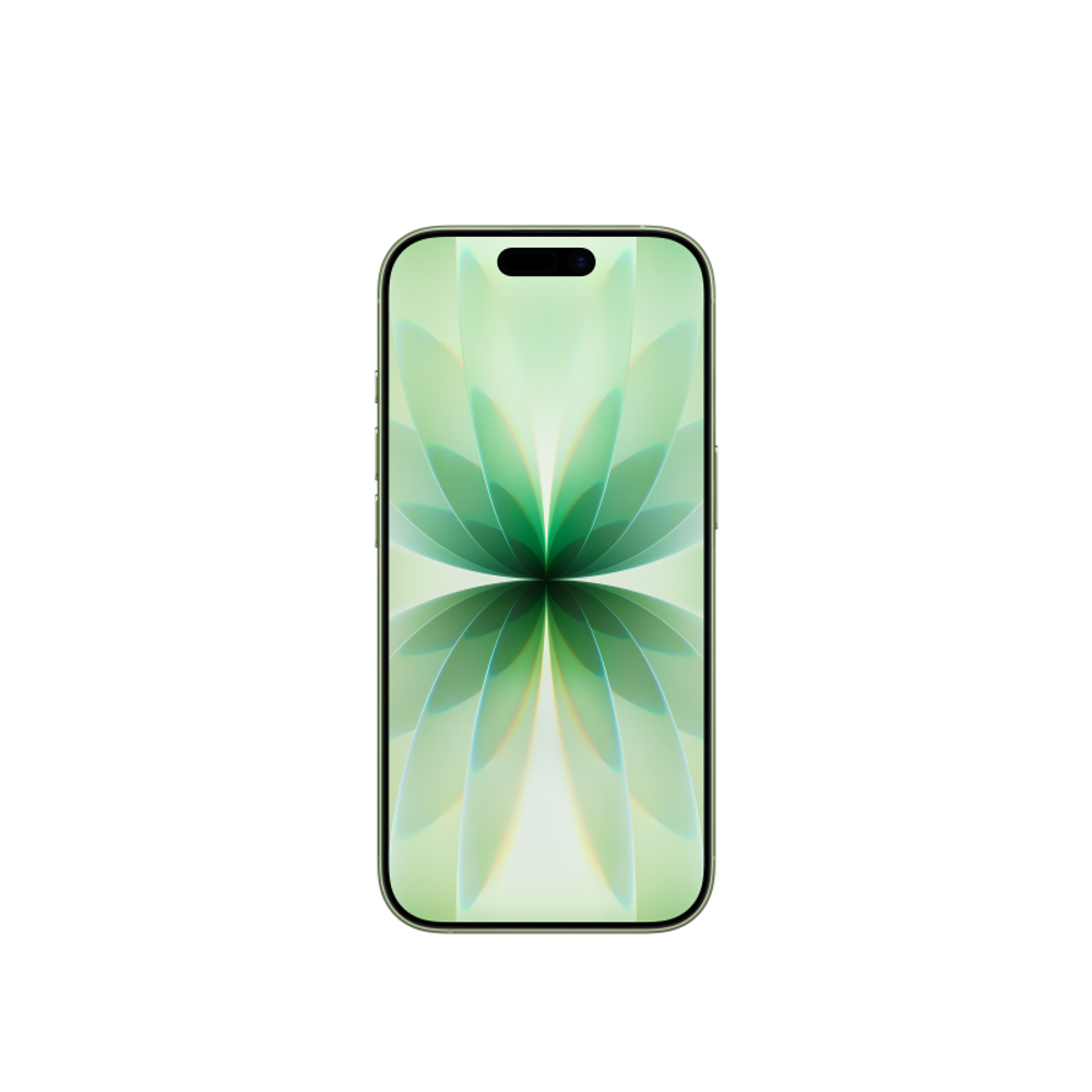 iPhone 17 256 ГБ, eSIM, Sage (Шалфей)