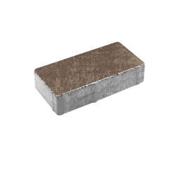 Тротуарная плитка ПРЯМОУГОЛЬНИК 200x100 мм - Листопад гладкий Хаски