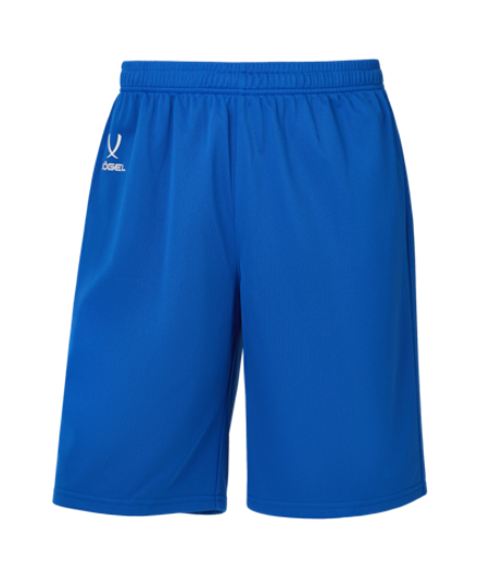 Шорты баскетбольные DIVISION PerFormDRY RBF 2S Shorts, синий