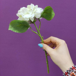 Гортензия белая, искусственная