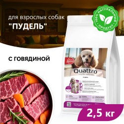 Корм сухой для взрослых собак породы Пудель, премиум полнорационный комплекс, с говядиной, 2,5 кг, QUATTRO