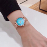 Женские наручные часы Skagen SKW2977