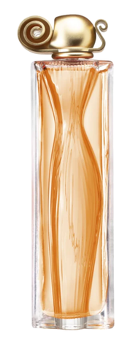 Givenchy Organza