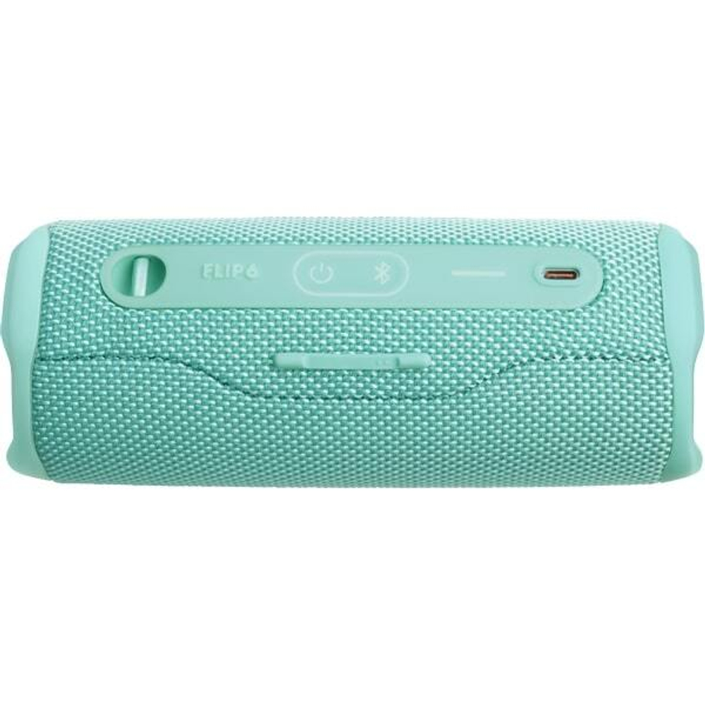 JBL Flip 6 Mint