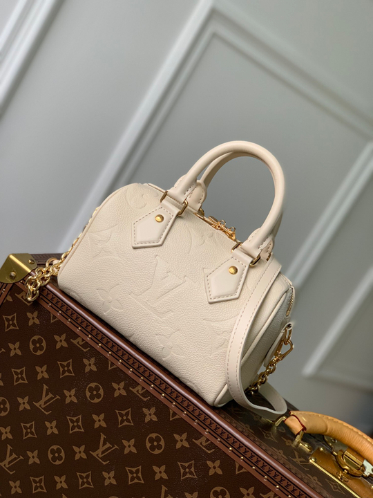 Louis Vuitton Speedy 20