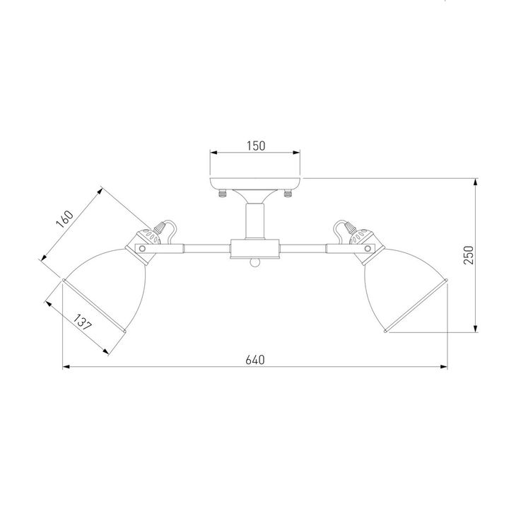 Потолочная люстра Eurosvet Denley 70112/5 черный