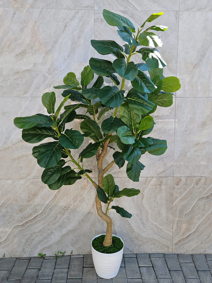 Искусственное растение Фикус Лирата зеленый 160см в кашпо