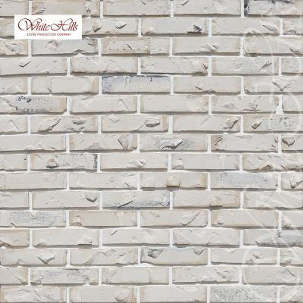 Эрдинг Брик 679-10