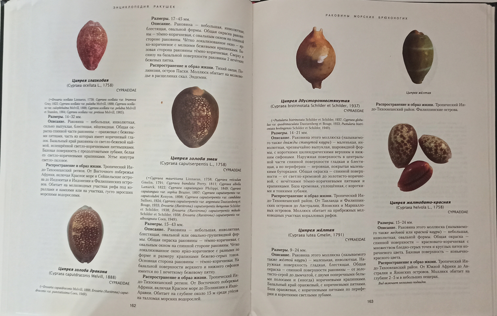 Книга раковины мира, Б/У