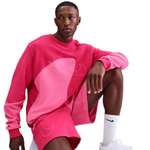 Баскетбольная толстовка Nike Standard Issue Basketball Crew Giannis Pink Sweatshirt
