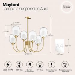 Люстра на штанге Maytoni Aura MOD016PL-06BS