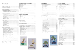 Bonsai master class