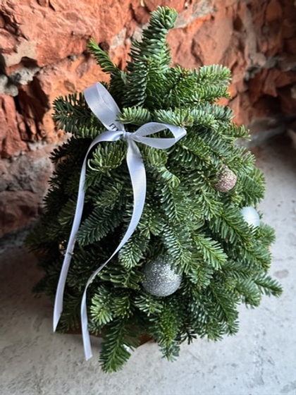 Елка из нобилиса h-25см