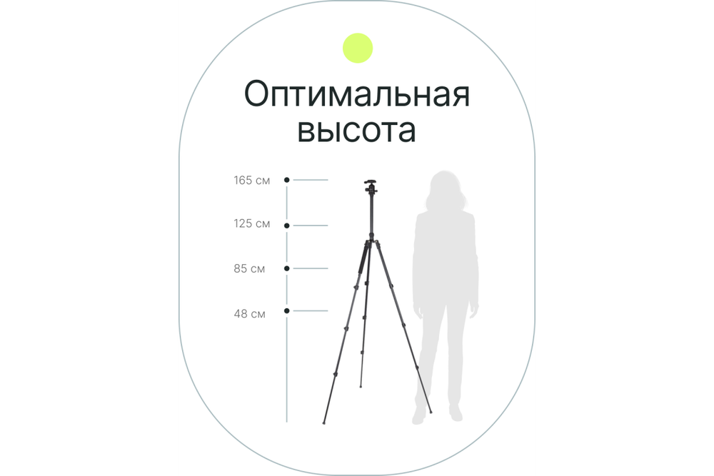 Штатив Raylab Pro 65 алюминиевый сплав (с головой)
