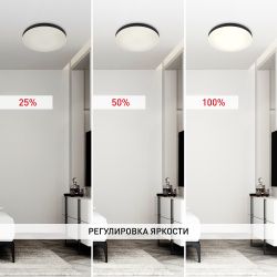 Светильник потолочный светодиодный ЭРА Relict 48 Pult SPB-6-60-RC BK с ДУ 60W 3000-6500K Черный | Светильники SPB-6 с ДУ