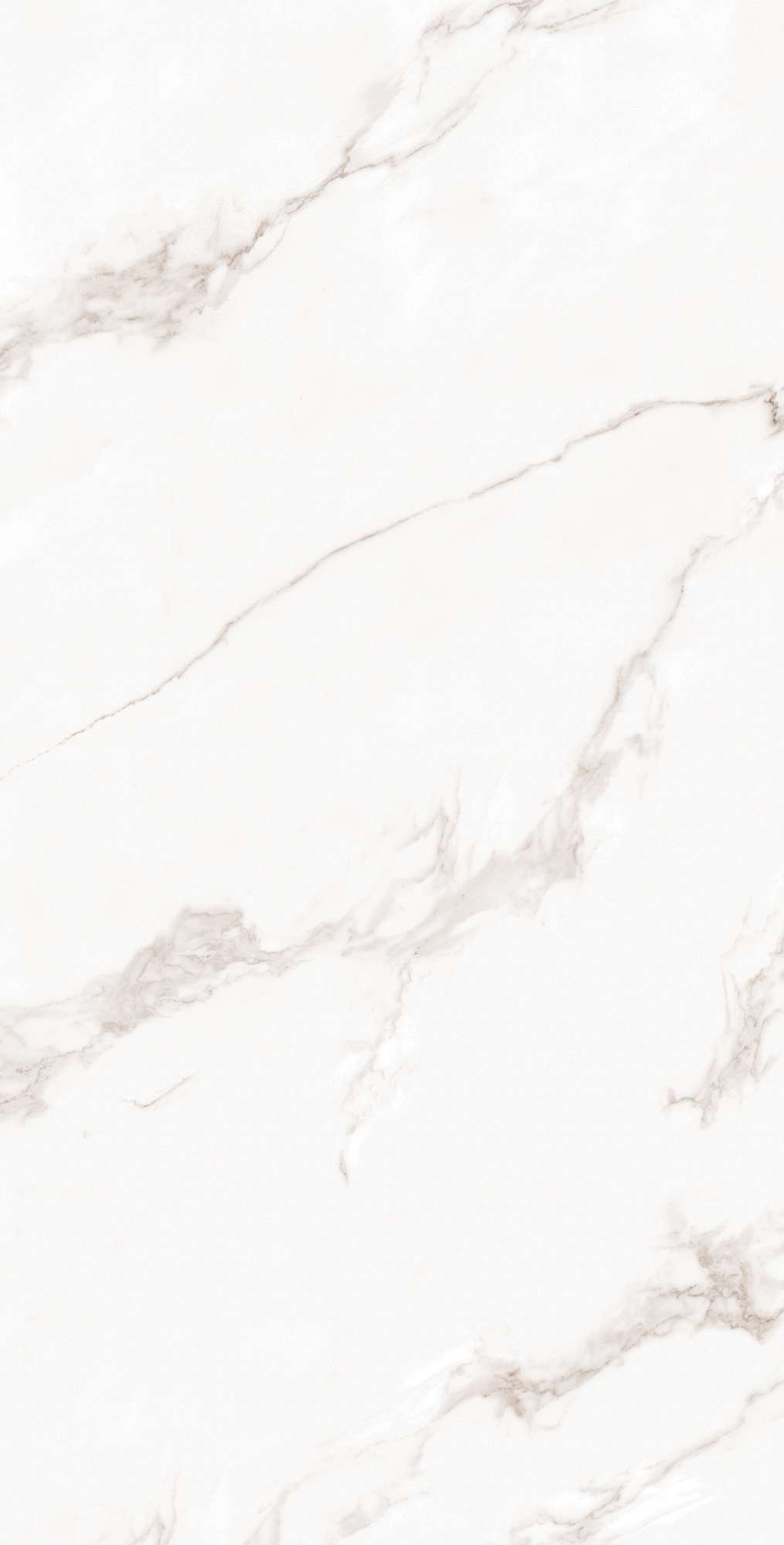 Керамогранит, Arcadia Ceramica, CALACATTA BIANCO, 1200x600 мм, полированная