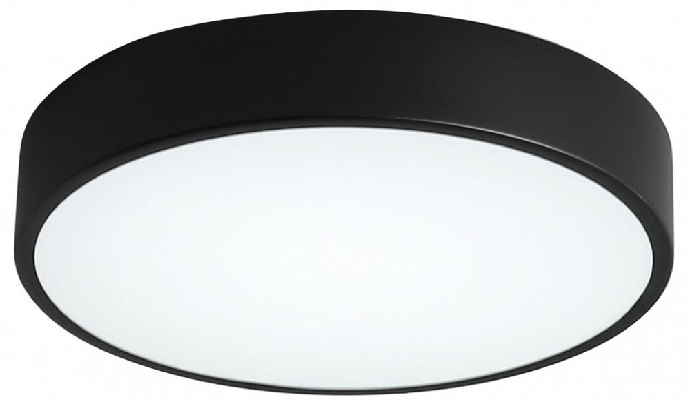 Накладной светильник Zortes Tortty ZRS.02563.48