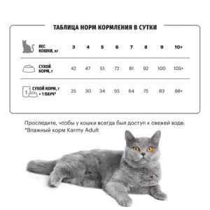 Уценка! Срок до 05.2024/ Сухой корм для кошек породы Британская короткошерстная, Karmy British Shorthair ADULT, с индейкой