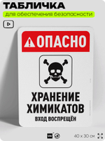 Табличка для обеспечения безопасности "Опасно, хранение химикатов", для офиса, по охране труда для предприятия, организаций, 40х30 см, Silver Plane x Айдентика Технолоджи