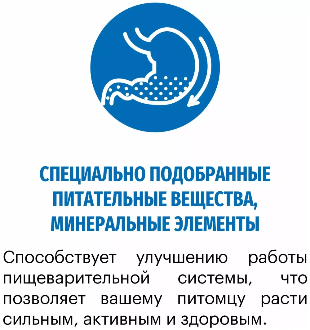 Karmy Maxi Adult Сухой корм для собак крупных пород с телятиной, 2 кг