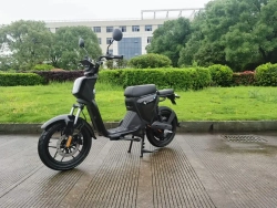 Электроскутер Skyboard Sevastopol 1800W