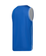 Майка двухсторонняя JÖGEL DIVISION PerFormDRY Double-Side Jersey, синий/белый