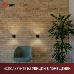 Светильник декоративный настенный светодиодный ЭРА WL11 BK 2х1Вт 3000К IP54 черный для интерьера и фасадов зданий | Настенная подсветка