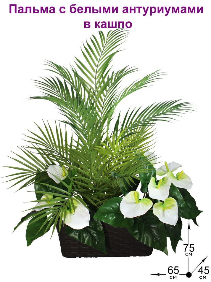Искусственная пальма с антуриумами 75см в кашпо ротанг