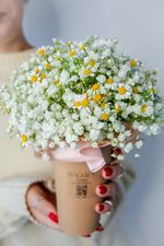 Комплимент с ромашкой