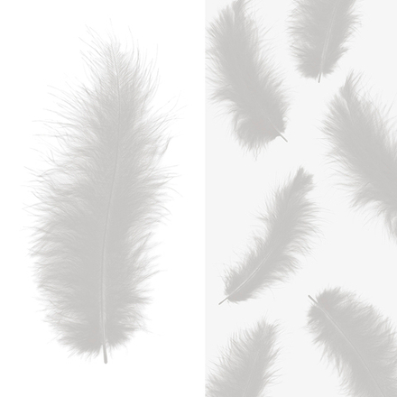 Перья серебро 30 шт