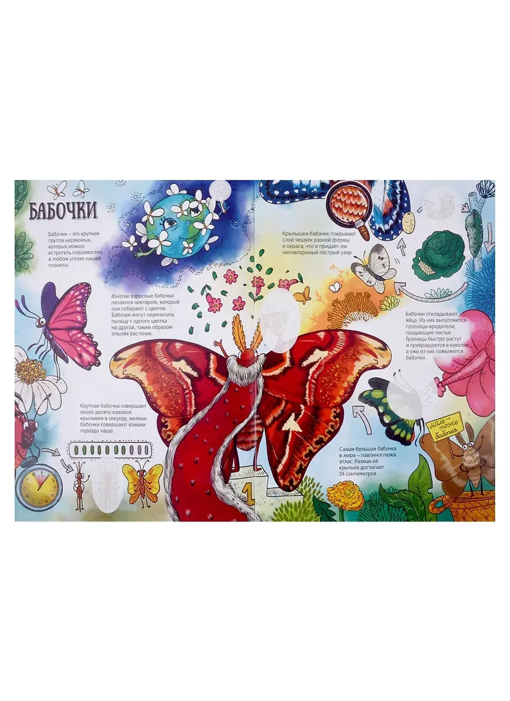Атлас насекомых с наклейками