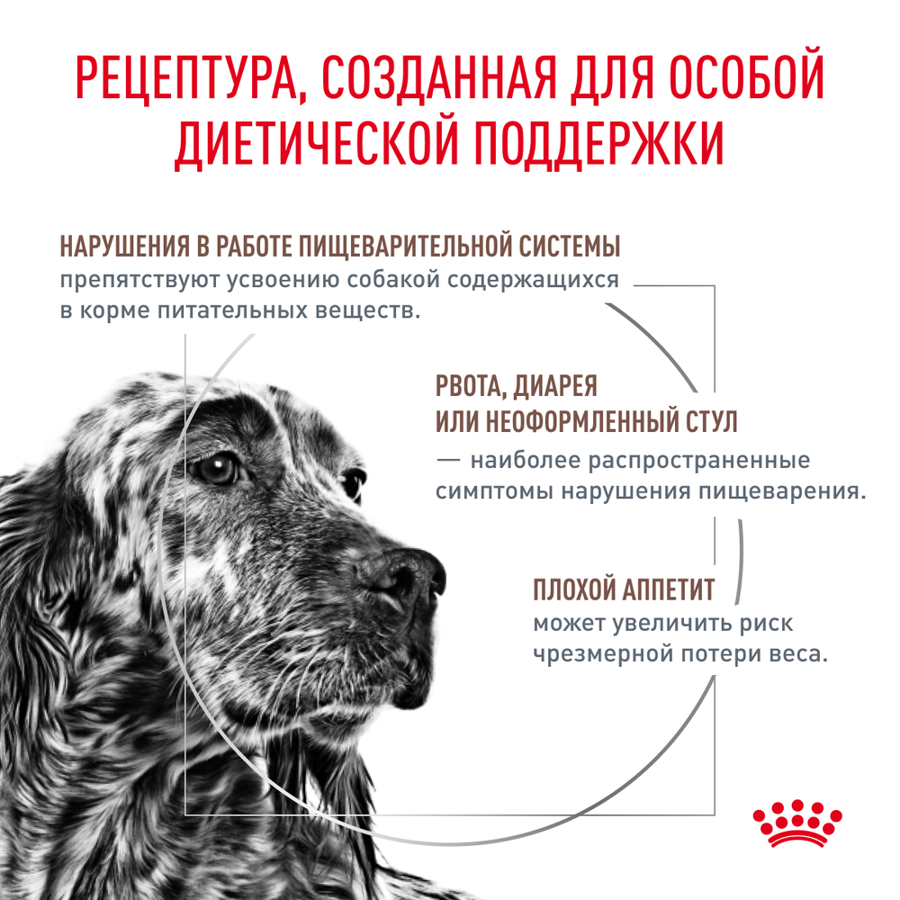 Сухой корм Royal Canin GASTROINTESTINAL для взрослых собак при расстройствах пищеварения 15кг