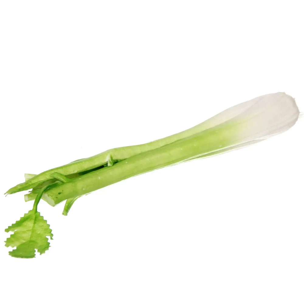 Муляж «Сельдерей» 38см