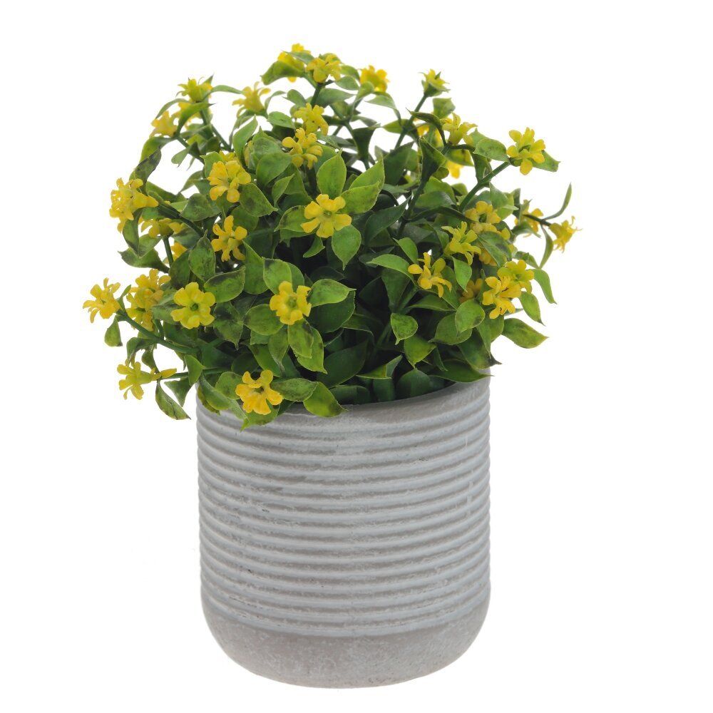 GAEM Цветочная композиция, L11 W11 H17 см, 3в.