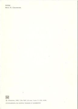 Открытка (почтовое вложение) "Розы" фото П. Смолякова