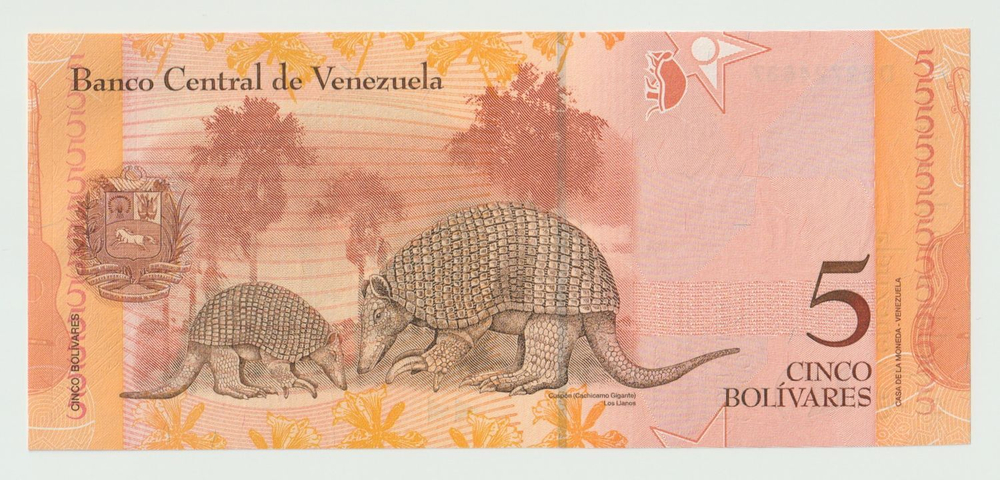 Venezuela, 5 Bolívares, 2007, UNC