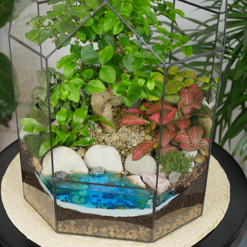 Готовый флорариум бонсай Лигуструм Бонсариум XL с озером